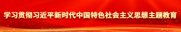 鸡吧日屄日屄学习贯彻习近平新时代中国特色社会主义思想主题教育